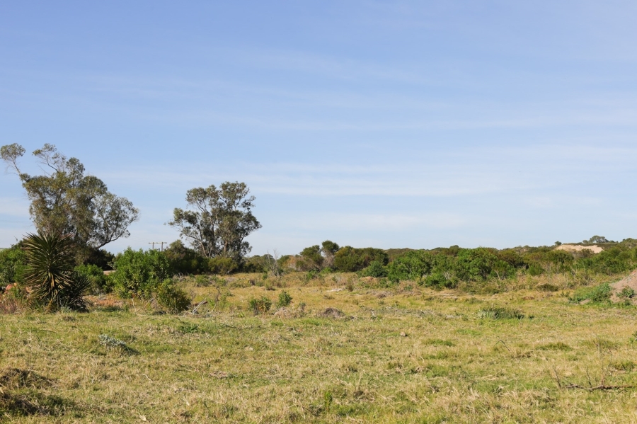 0 Bedroom Property for Sale in Kromme River Estate Eastern Cape